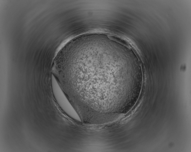 X0000090461097200708031235