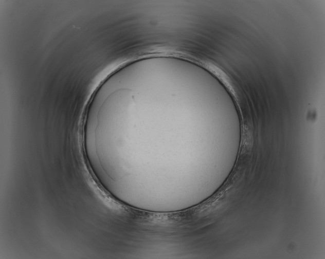 X0000090461098200708031235