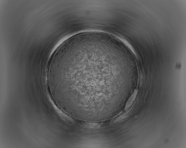 X0000090461101200708031235