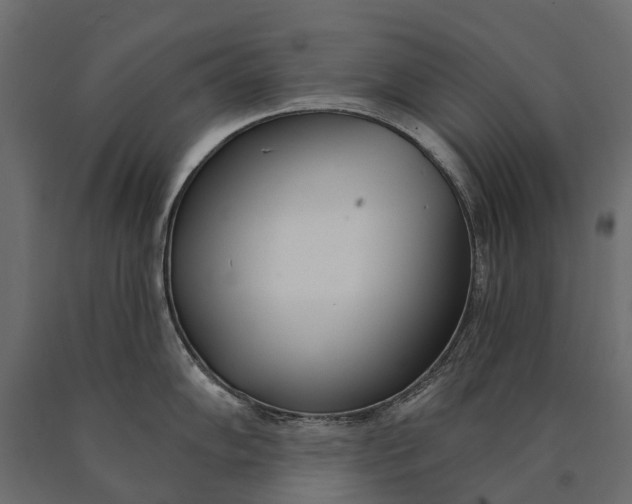 X0000090461102200708031235