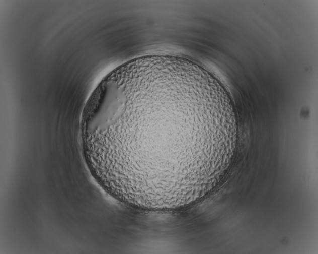 X0000090461103200708031235