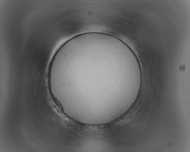 X0000090461104200708031235