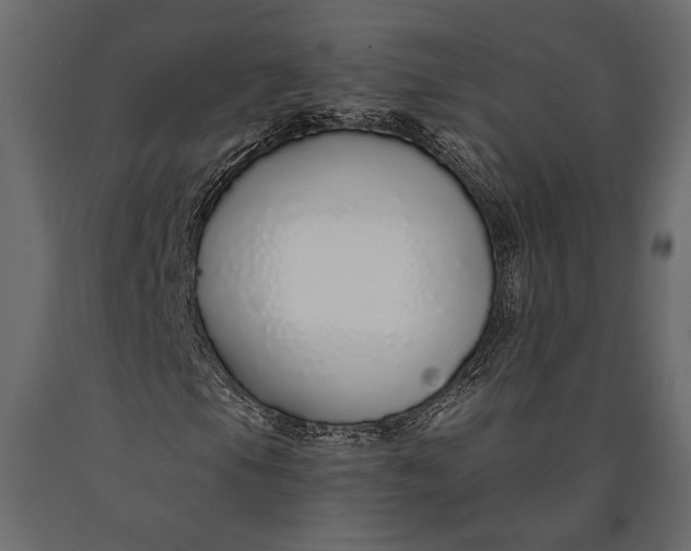 X0000090461105200708031234