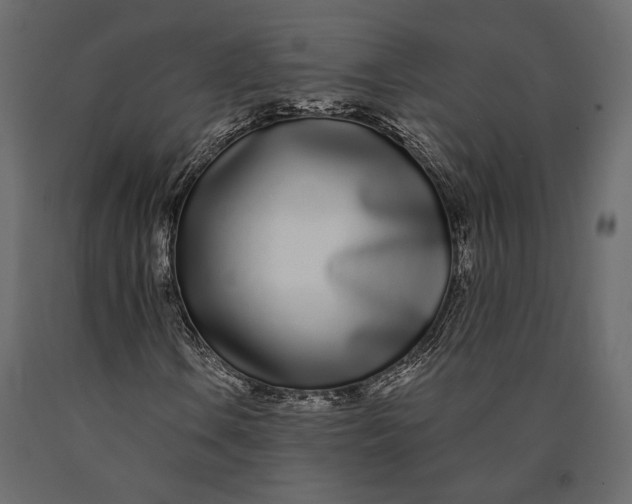 X0000090461106200708031234