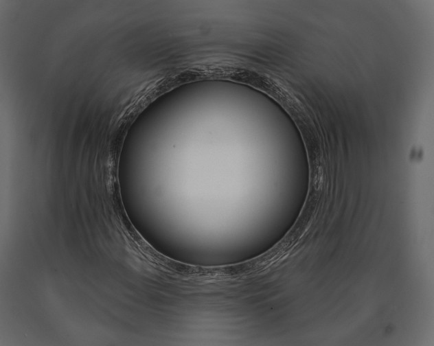X0000090461108200708031234