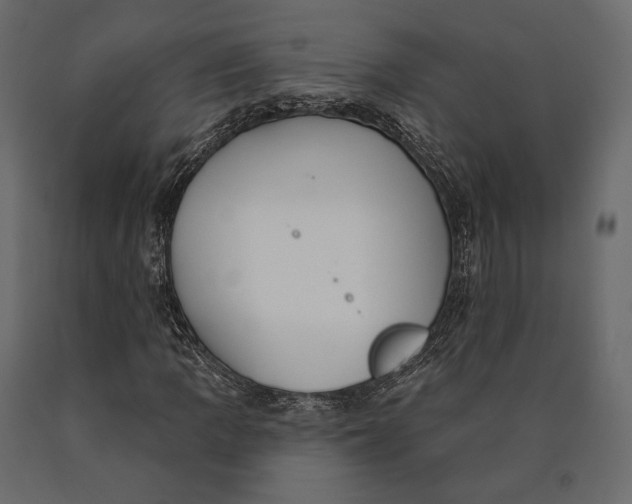 X0000090461109200708031234