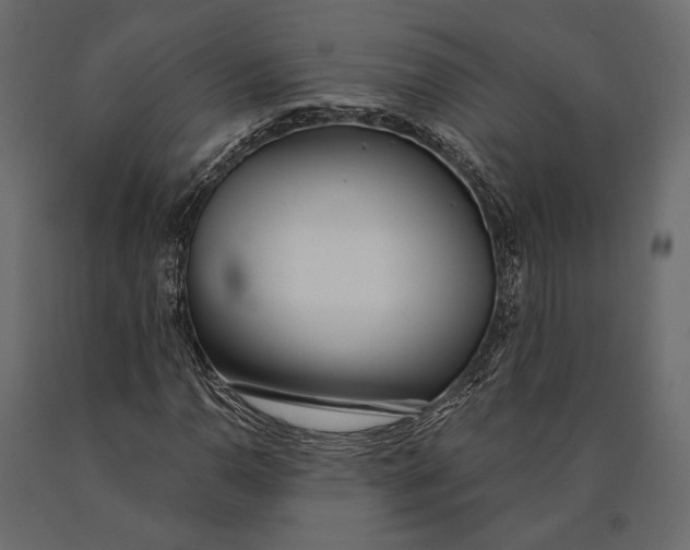 X0000090461110200708031234