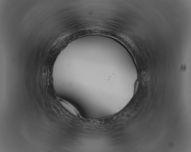 X0000090461111200708031234