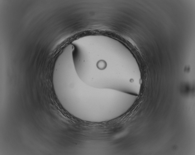 X0000090461112200708031234