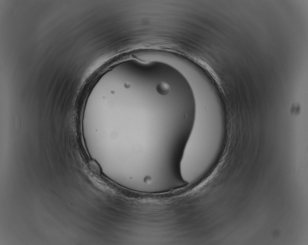 X0000090461114200708031234