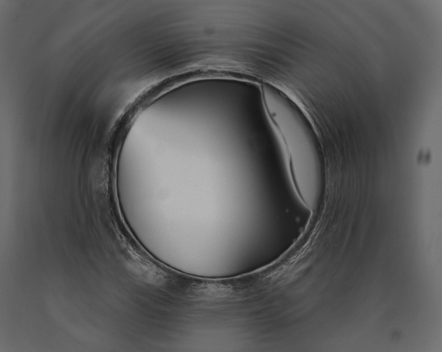 X0000090461115200708031234