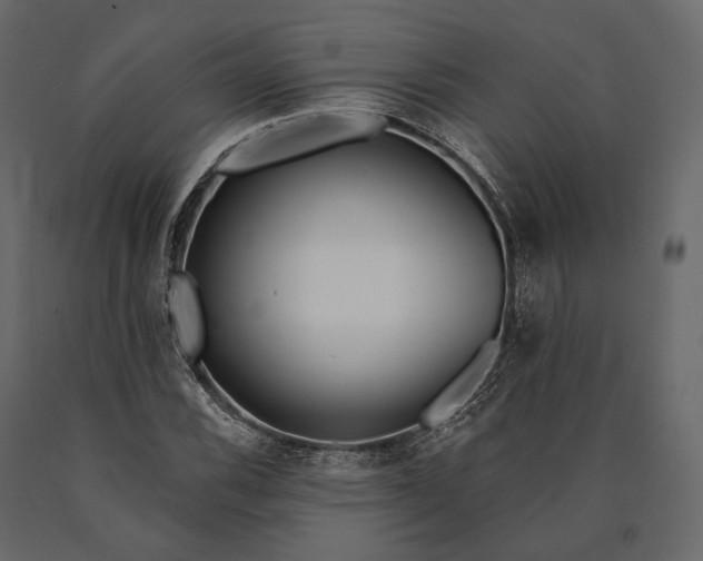 X0000090461116200708031234