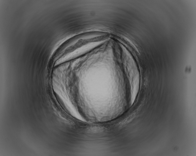 X0000090461117200708031234