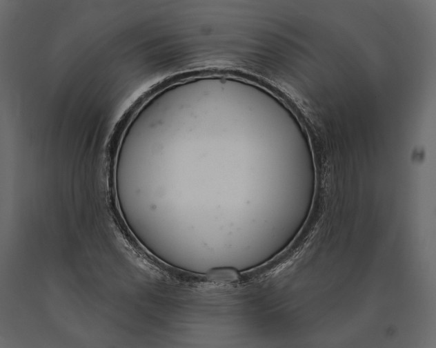 X0000090461118200708031234