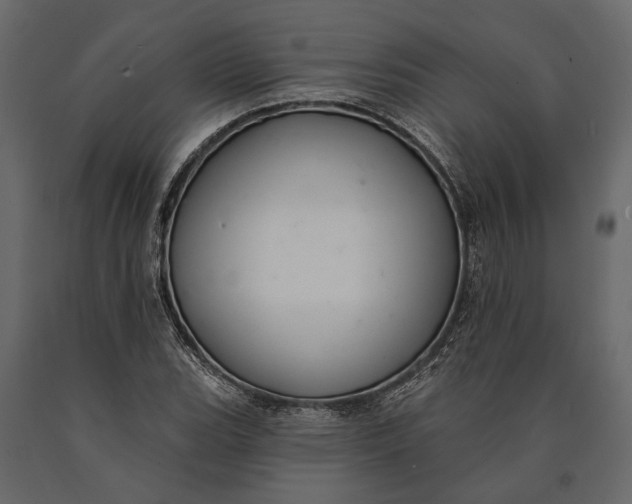 X0000090461119200708031234