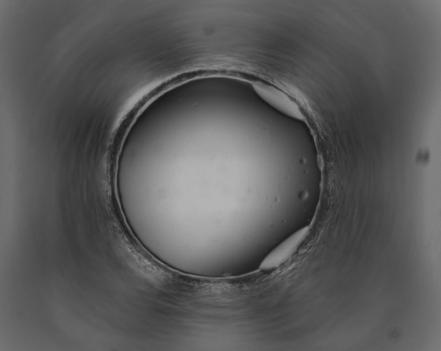 X0000090461120200708031234