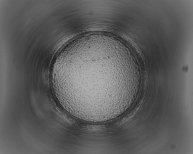 X0000090461121200708031234
