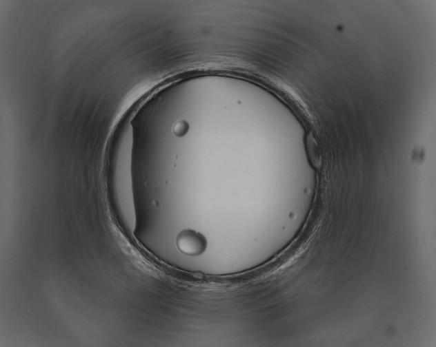 X0000090461122200708031235