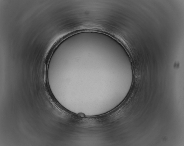 X0000090461123200708031235