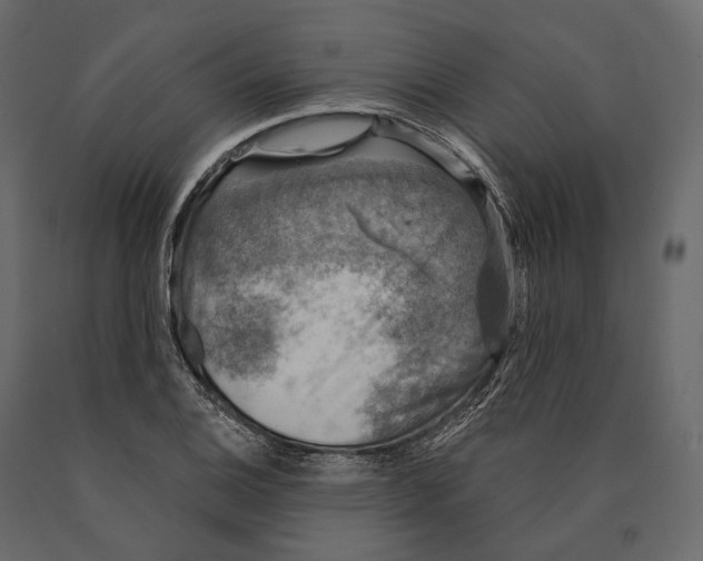 X0000090461124200708031235