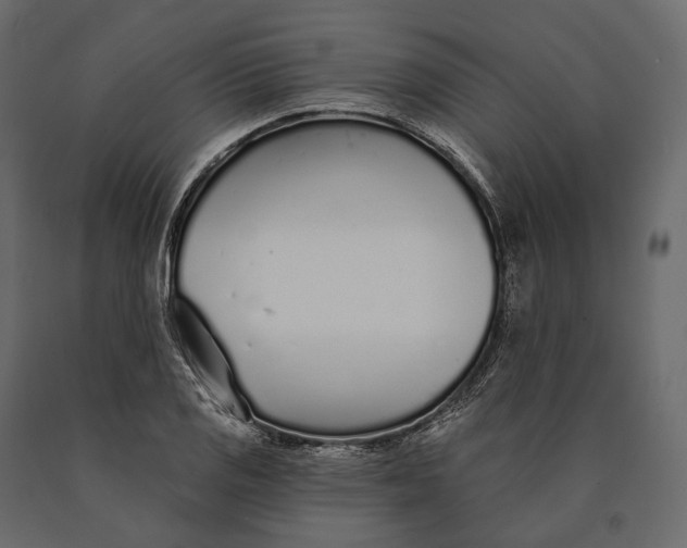 X0000090461125200708031235