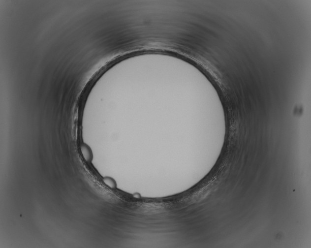 X0000090461126200708031235