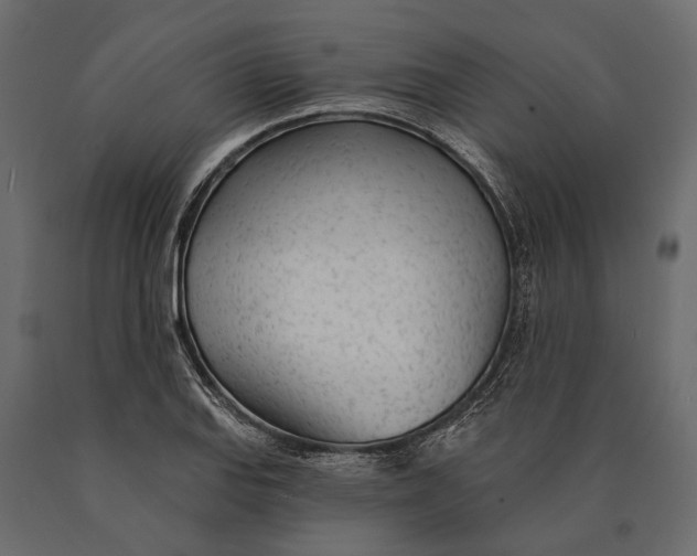 X0000090461127200708031235