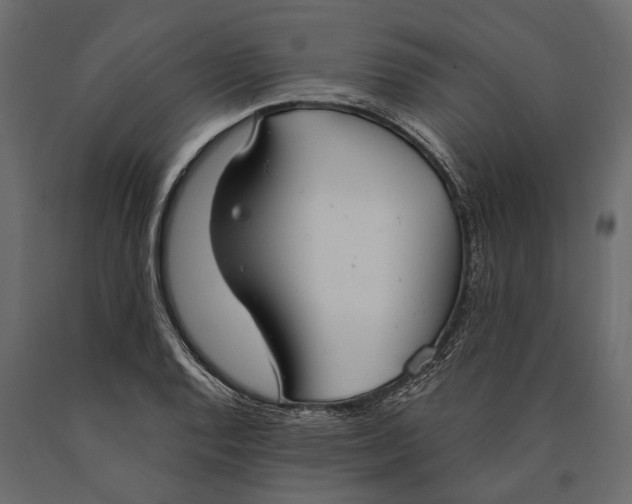 X0000090461128200708031235