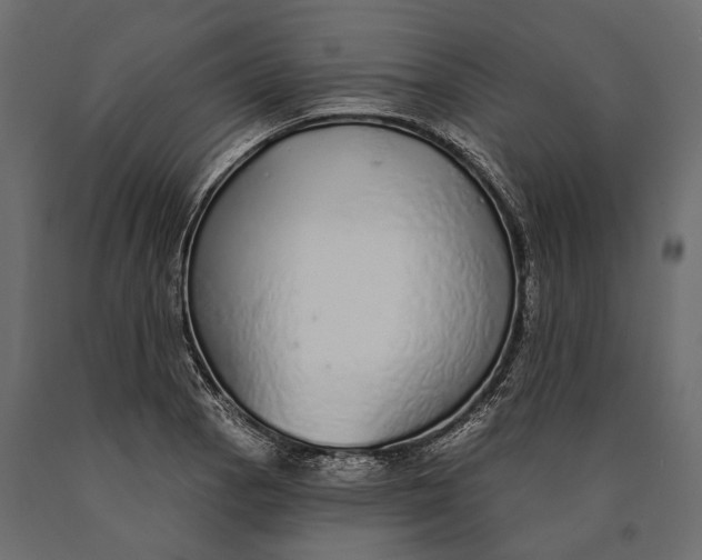 X0000090461129200708031235