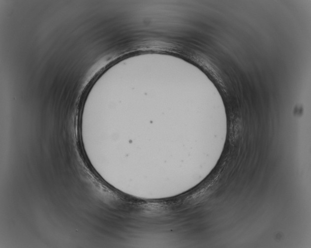 X0000090461130200708031235