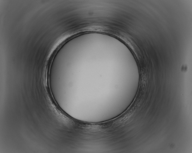 X0000090461131200708031235