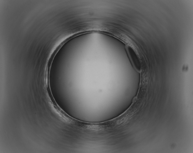 X0000090461132200708031235