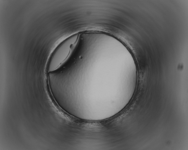 X0000090461133200708031235