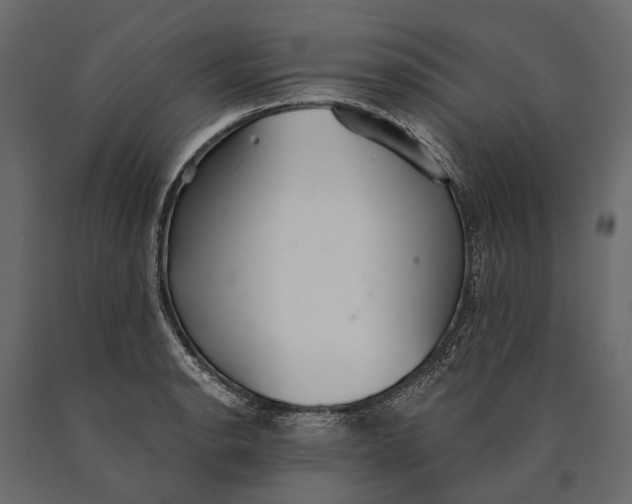 X0000090461134200708031235