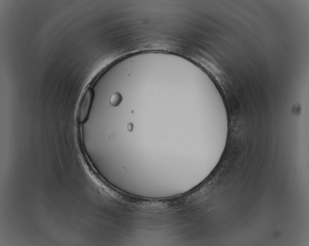 X0000090461135200708031235
