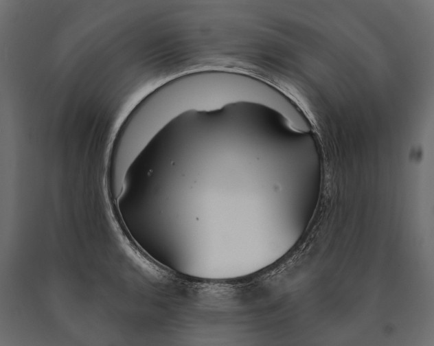 X0000090461136200708031235