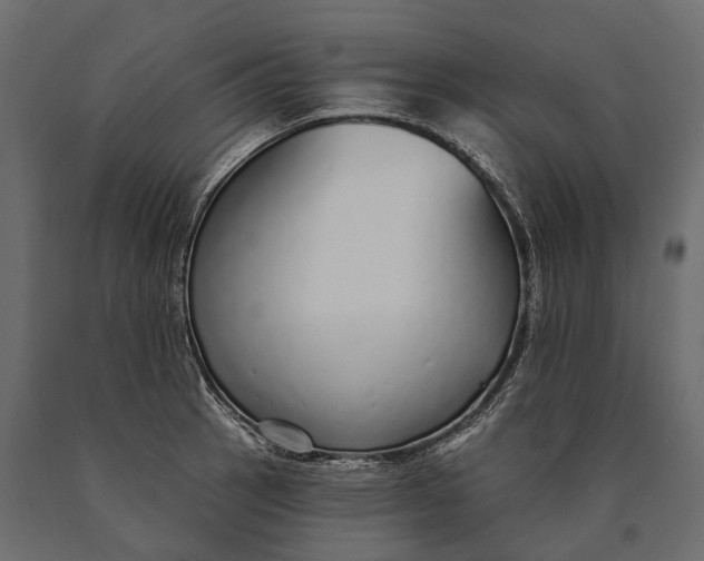 X0000090461137200708031235