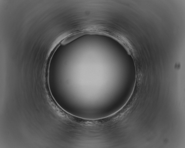 X0000090461138200708031235