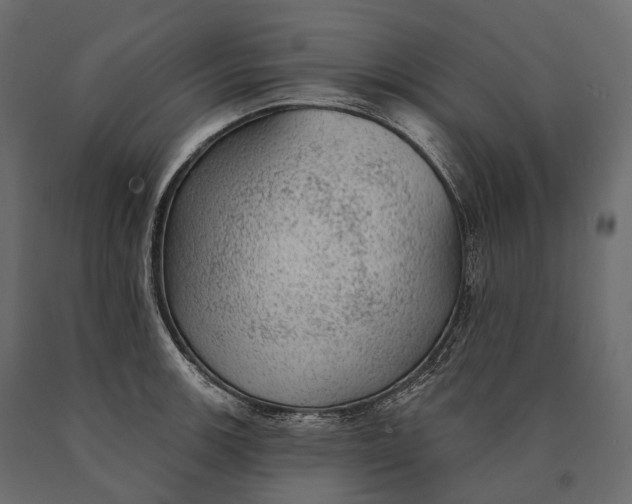 X0000090461139200708031235