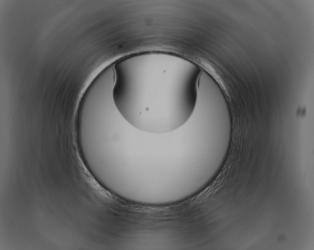 X0000090461140200708031235