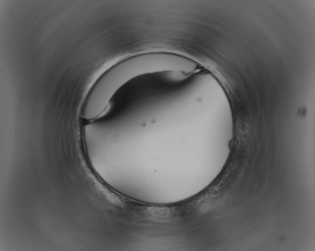 X0000090461142200708031235