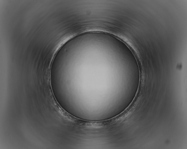 X0000090461145200708031235