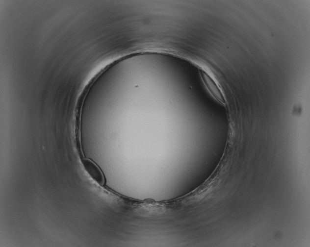 X0000090461147200708031235