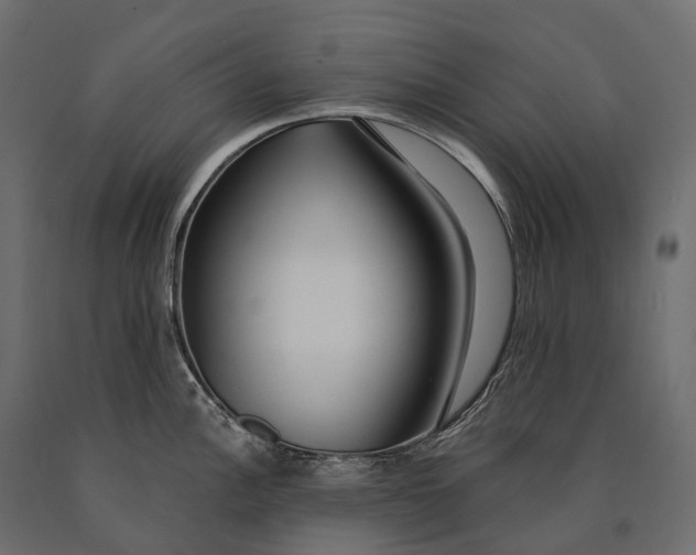 X0000090461148200708031235