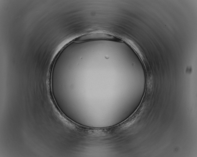 X0000090461149200708031235