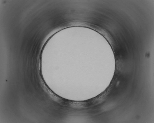 X0000090461150200708031235