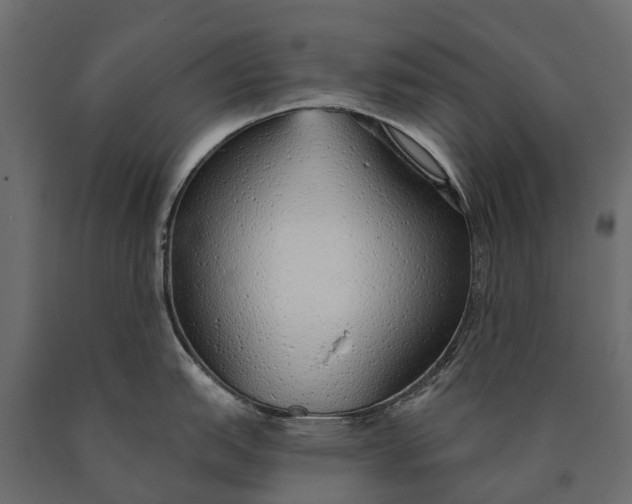 X0000090461151200708031235