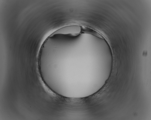 X0000090461152200708031235