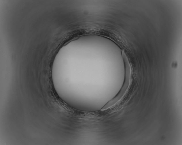 X0000090461153200708031234