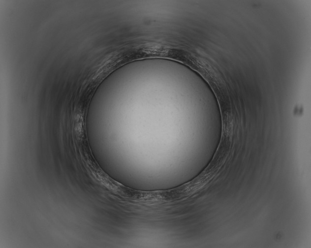 X0000090461154200708031234